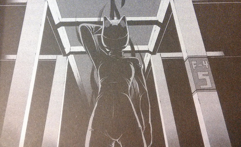 Illustration for article titled Durarara!! Vol. 1 - Light Novel Review